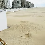 Bel Appartement A 50M De La Mer.
