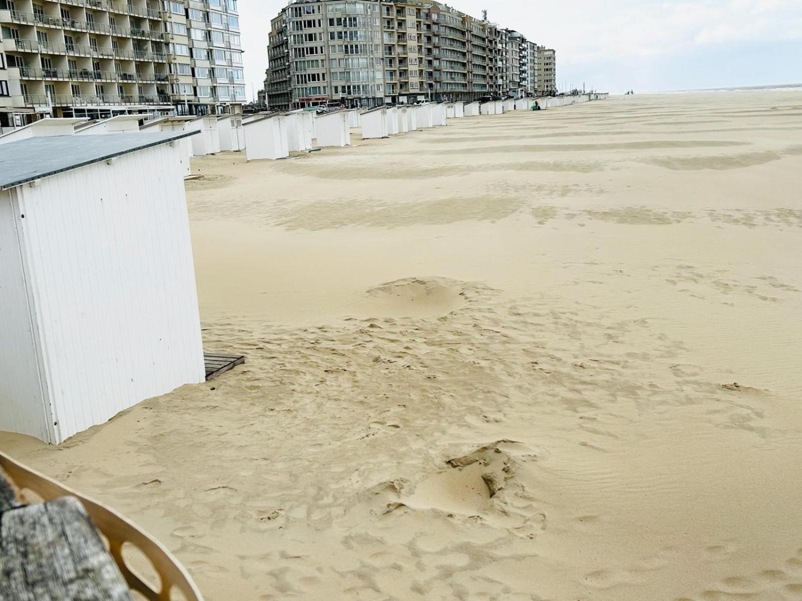 Appartement Bel A 50m De La Mer.